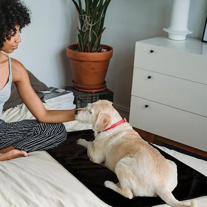 Bucephalus Waterproof Dog Blanket 25"×35")