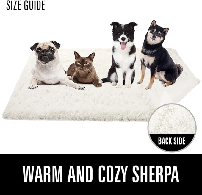 LOCHAS Luxury Fluffy Dog Blanket 30''x40'' Cream