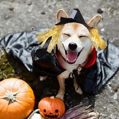 NAMSAN Halloween Pet Costume for Cats Small Dogs