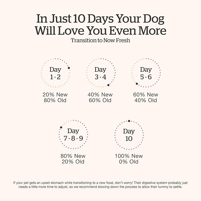 Now Fresh Grain-Free Dry Dog Food 22 lb