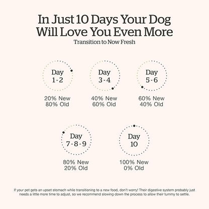 Now Fresh Grain-Free Dry Dog Food 22 lb