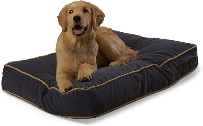 South Pine Porch Buddy Rectangle Pillow Style Dog Bed (24" x 36")