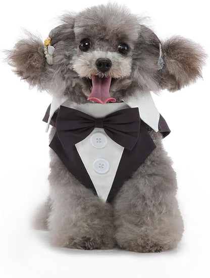 Puppy Tuxedo with Detachable Bowtie Prom Wedding Formal Wear Prince Costume for Small Dog (Large, Grey)