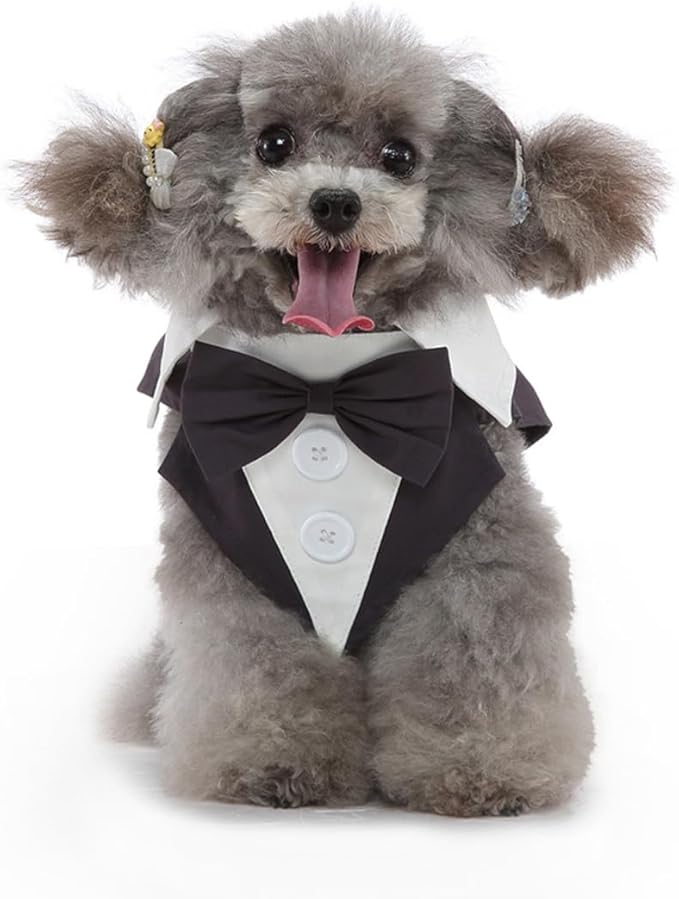 Puppy Tuxedo with Detachable Bowtie Prom Wedding Formal Wear Prince Costume for Small Dog (Small, Grey)