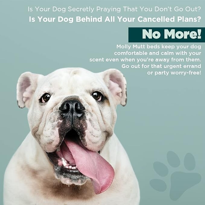 Molly Mutt Medium To Large Dog Bed Cover 27”X36”X5’’ - 100% Cotton