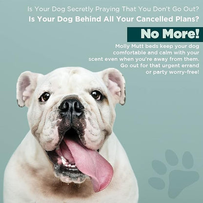 Molly Mutt Medium To Large Dog Bed Cover 27”X36”X5’’ - 100% Cotton