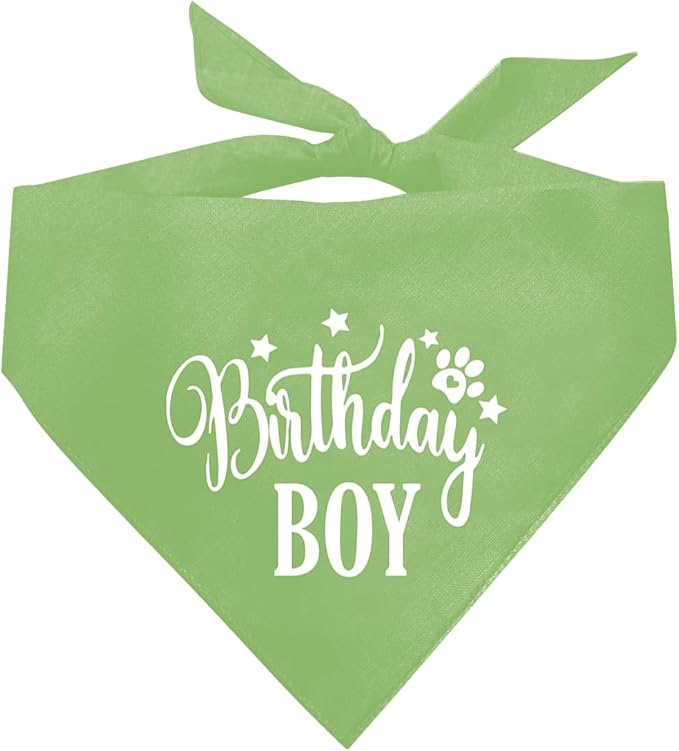 Birthday Dog Bandana 1st Birthday (A20)