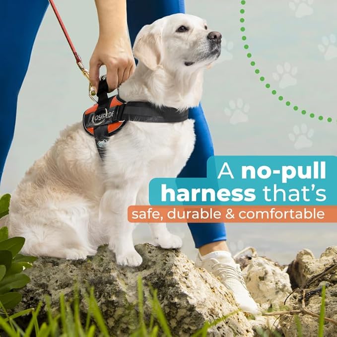 Joyride Harness 2.0 - The Original Side Ring No Pull Dog Harness - No Choke, Escape Proof, Reflective, 3 Leash Clips, Quick Fit Pet Vest - Easy Walks & Training - for Small, Medium & Large Dogs