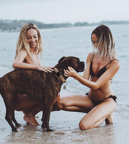 Air Tags-2 Pack Airtag Dog Collar Holder SWINCHO 1-3cm Width Collar(2xBlack)