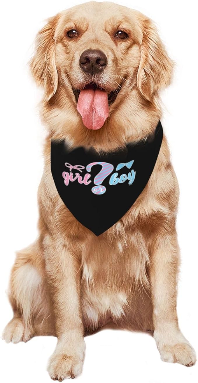He Or She What Will It Be? Gender Reveal/Baby Announcement Dog Bandana,Pet Neckerchief for Pets Daily Wear Photo Prop Party Supplies (Black)