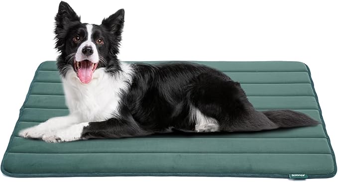 BALANCE Dog Crate Pad