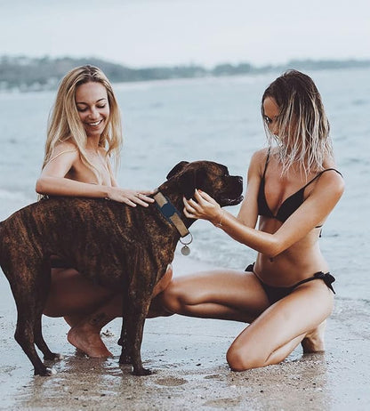 Air Tags-2 Pack Airtag Dog Collar Holder SWINCHO 1-3cm Width