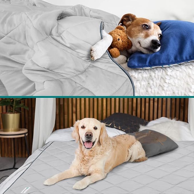 PetAmi Premium Cooling Dog Blanket 60x80, Light