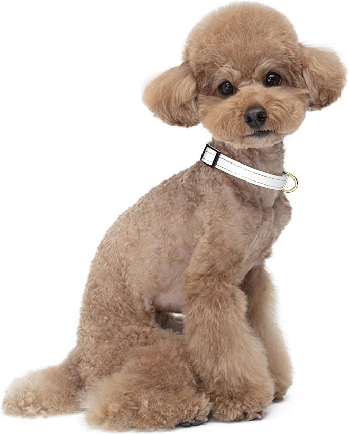 Reflective Dog Collar