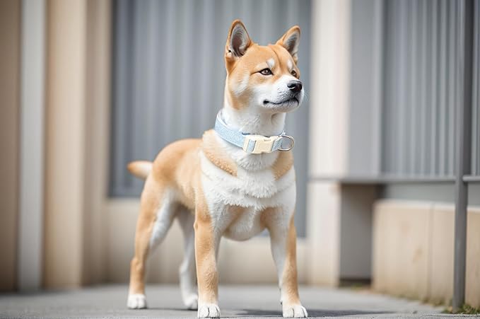 Breathable Cotton Dog Collar