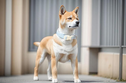 Breathable Cotton Dog Collar
