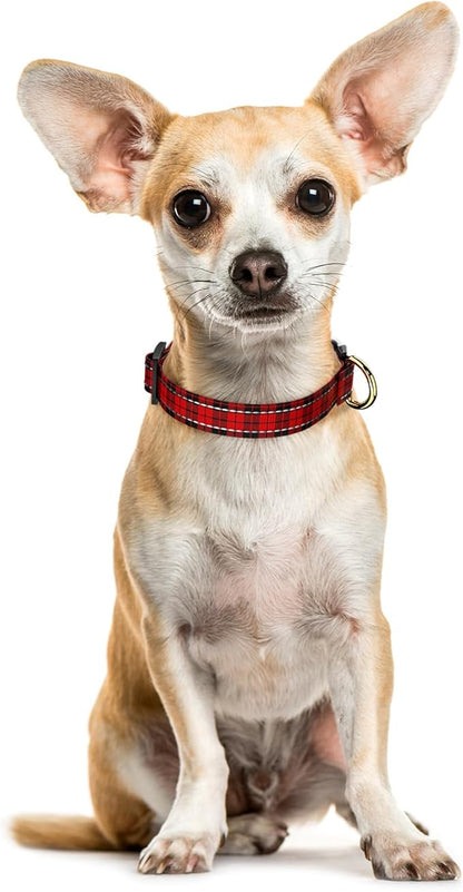 Reflective Dog Collar