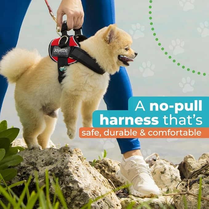 Joyride Harness 2.0 - The Original Side Ring No Pull Dog Harness - No Choke, Escape Proof, Reflective, 3 Leash Clips, Quick Fit Pet Vest - Easy Walks & Training - for Small, Medium & Large Dogs