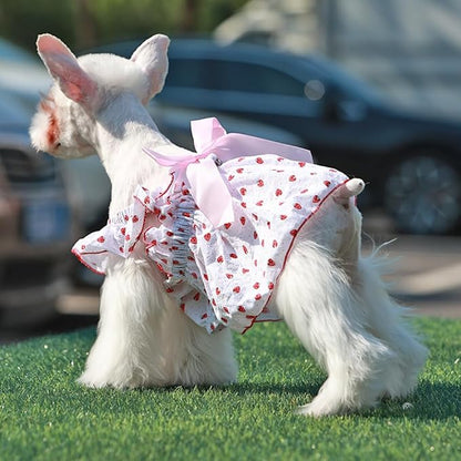 ANIAC Strawberry Dog Dress for Small Medium Dog Cotton Puppy Clothes Girl Dog Princess Dress Sleeveless Cat Outfit Bow Summer Pet Clothing (Strawberry 2XL)