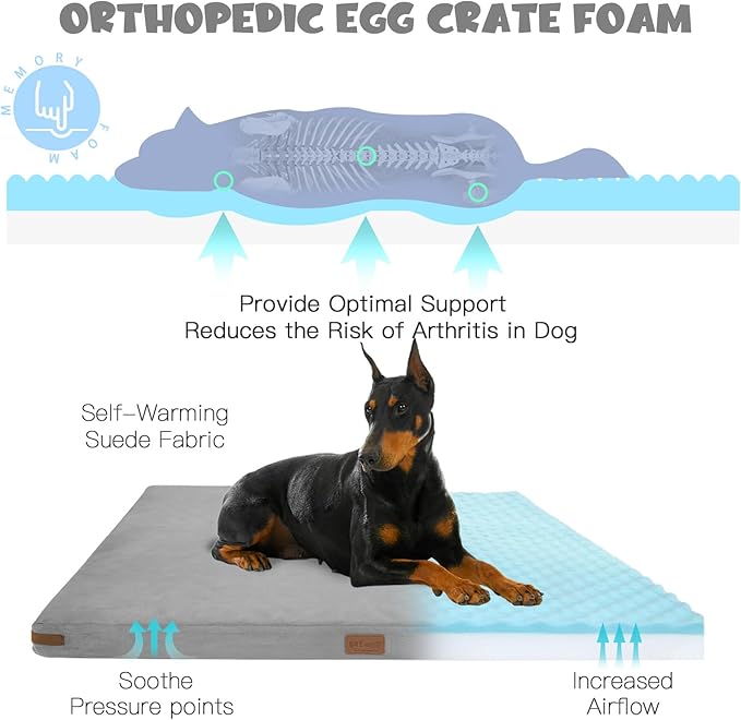 Himax Orthopedic Dog Bed for Extra Large Dogs