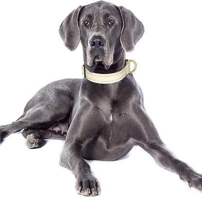 Reflective Dog Collar