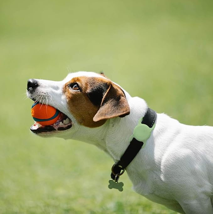 Air Tags-2 Pack Airtag Dog Collar Holder SWINCHO 1-3cm Width