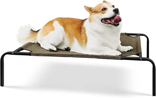 Outdoor Dog Bed for Medium Dogs Elevated Dog