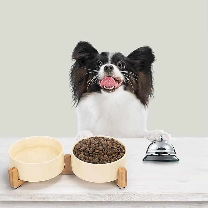 SPUNKYJUNKY Ceramic Dog and Cat Bowl Set with Wooden Stand, Modern Cute Weighted Food Water Set for Small Size Dogs (13.5OZ) & Medium Sized Dogs (28.7OZ) & Cats (1.7 Cups, 2 × Beige)