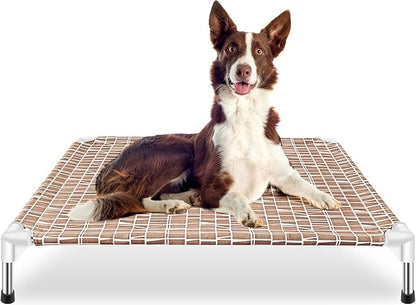 Elevated Dog Bed