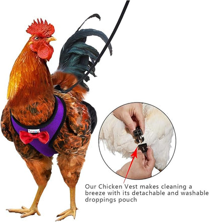 Chicken Harness Hen Size with 6ft Matching Leash – Adjustable, Resilient, Comfortable, Breathable, Small, Suitable for Chicken Weighing About 2.2 Pound,red (Months, Purple)