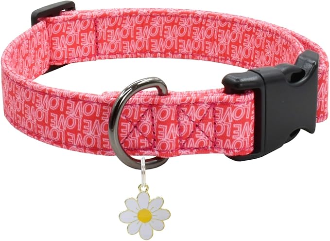 Flower Patterns Dog Collar with Accessories