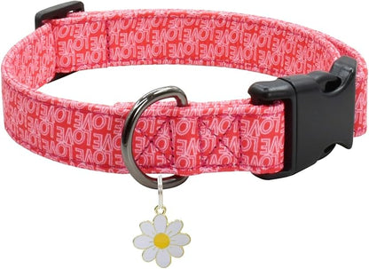 Flower Patterns Dog Collar with Accessories