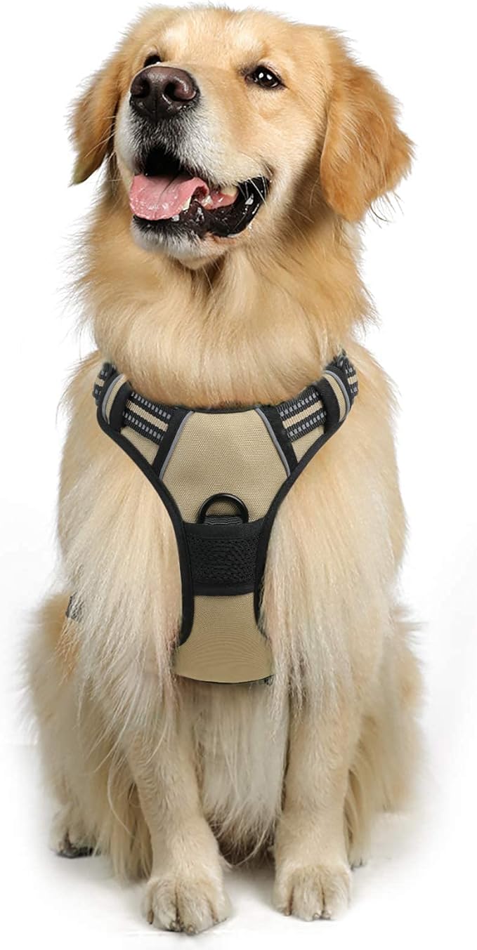 rabbitgoo Dog Harness, No-Pull Pet Harness with 2 Leash Clips, Adjustable Soft Padded Dog Vest, Reflective No-Choke Pet Oxford Vest with Easy Control Handle for Large Dogs, Beige, L