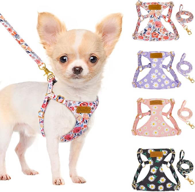 SlowTon No Pull Dog Harness with Leash - Soft Lightweight Floral Pattern Puppy Harness, Adjustable Pet Harness for Small Medium Dogs (Flower S)