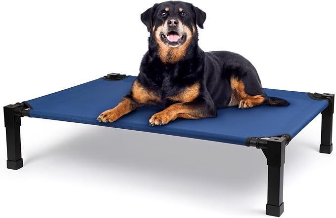 Cooling Elevated Dog Bed