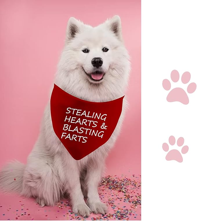 JXGZSO 1 Piece Free Kisses/Will You Be My