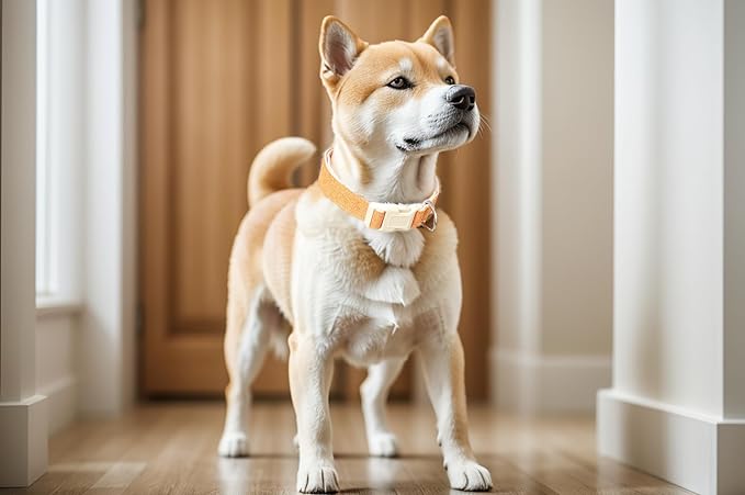 Breathable Cotton Dog Collar