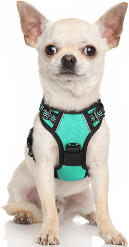 rabbitgoo Dog Harness, No-Pull Pet Harness with 2 Leash Clips, Adjustable Soft Padded Dog Vest, Reflective No-Choke Pet Oxford Vest with Easy Control Handle for Small Dogs, Turquoise, XS