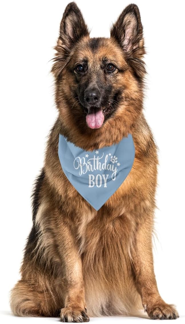 Birthday Dog Bandana 1st Birthday (A17)