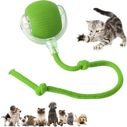 Chewie Viral Rolling Ball,Interactive Rolling Dog Ball Toy,Interactive Cat Ball Toy,Interactive Cat Dog Toys Ball Fast Rolling,360° Smart Automatic Rolling Pet Ball (Green)