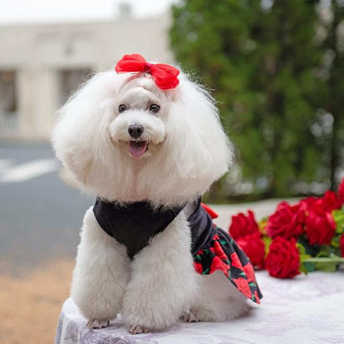 CuteBone You're Loved Rose Dress Velvet for Small CVA12L-D