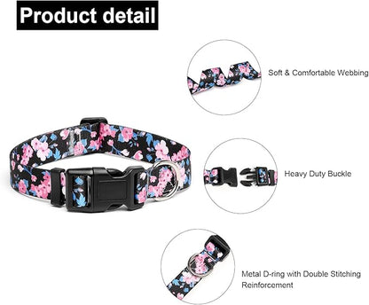 Adjustable Dog Collar with Patterns