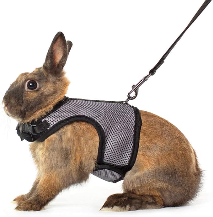 Niteangel Adjustable Soft Harness with Elastic Leash for Rabbits (S, Grey)