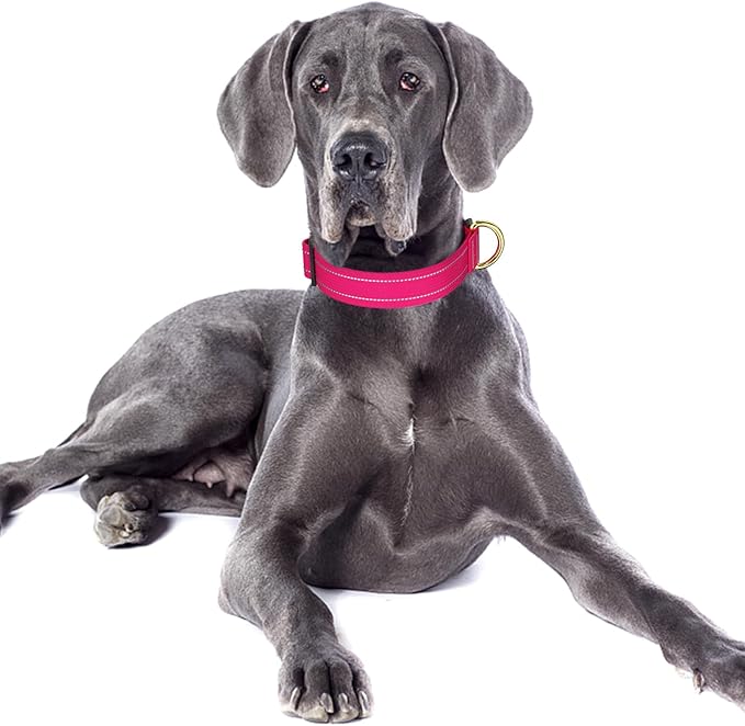 Reflective Dog Collar