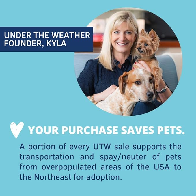 Under the Weather Easy to Digest Bland Diet for Sick Dogs - Always Be Ready - Contains Electrolytes - Gluten Free, All Natural, Freeze Dried 100% Human Grade Meats - Hamburger, Rice & Bone Broth