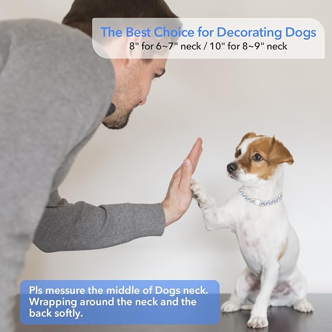 Dog Chain Silver Cuban Collars 22inch)