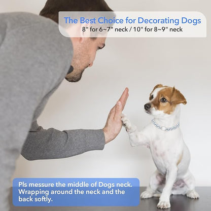 Dog Chain Silver Cuban Collars 8inch)