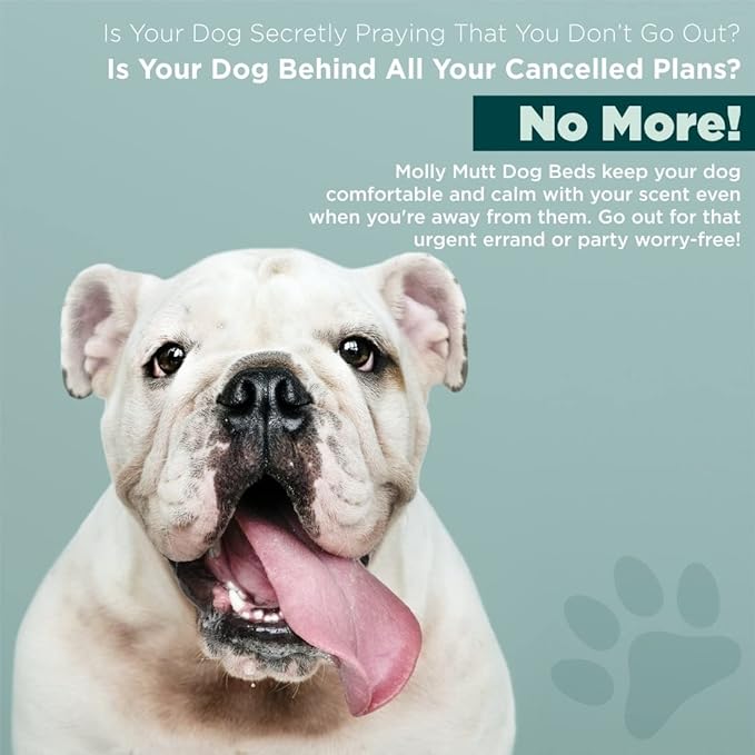 Molly Mutt Huge Dog Bed Cover -Royals 36”X 45”X 5’’ - 100% Cotton