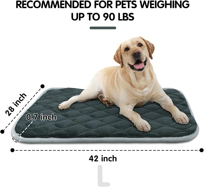 furrybaby Dog Bed Mat Flat Crate Mat with Anti-Slip Bottom Machine Washable Pet Kennel Pad for Dog Sleeping (L 42x28''