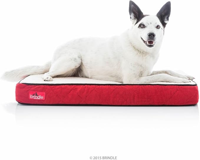 Brindle Waterproof Designer Memory Foam Pet Bed-Removable Machine Cover-4 Inch